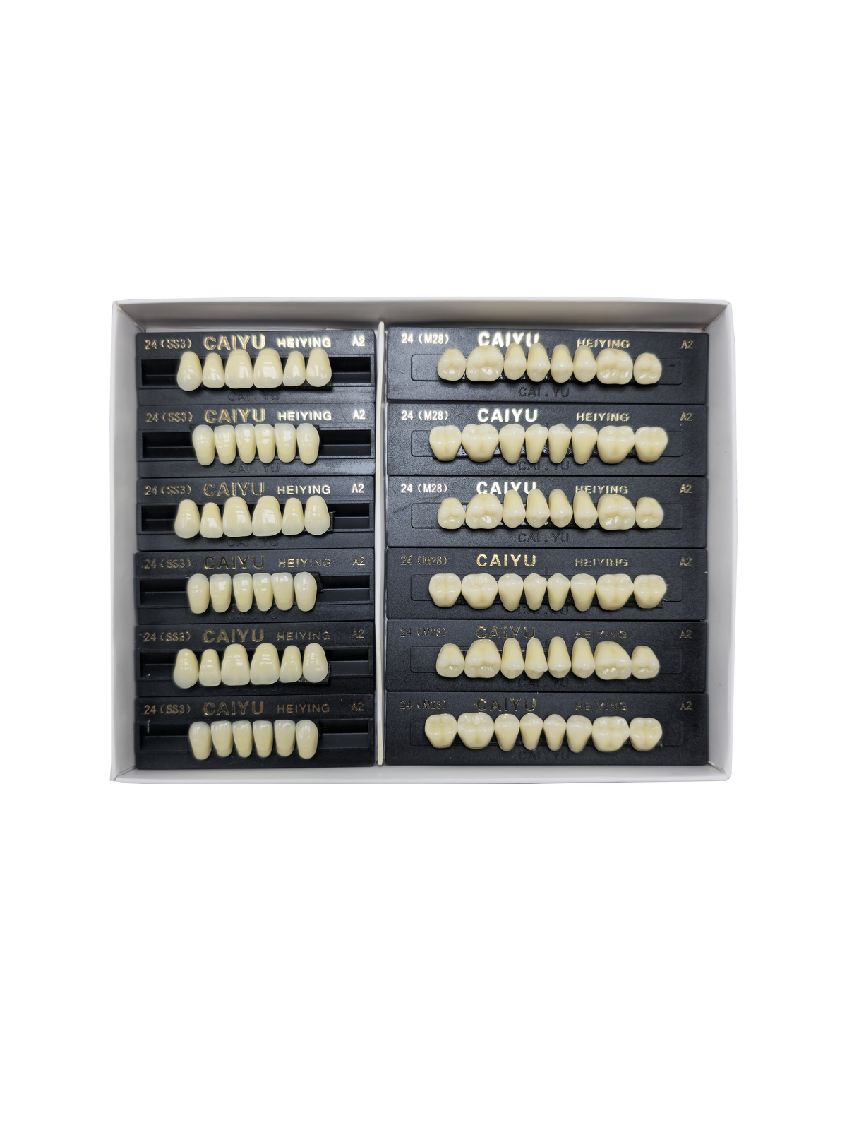 Caiyu Hei Ying Synthetic Resin Teeth 24(HSS3)A2