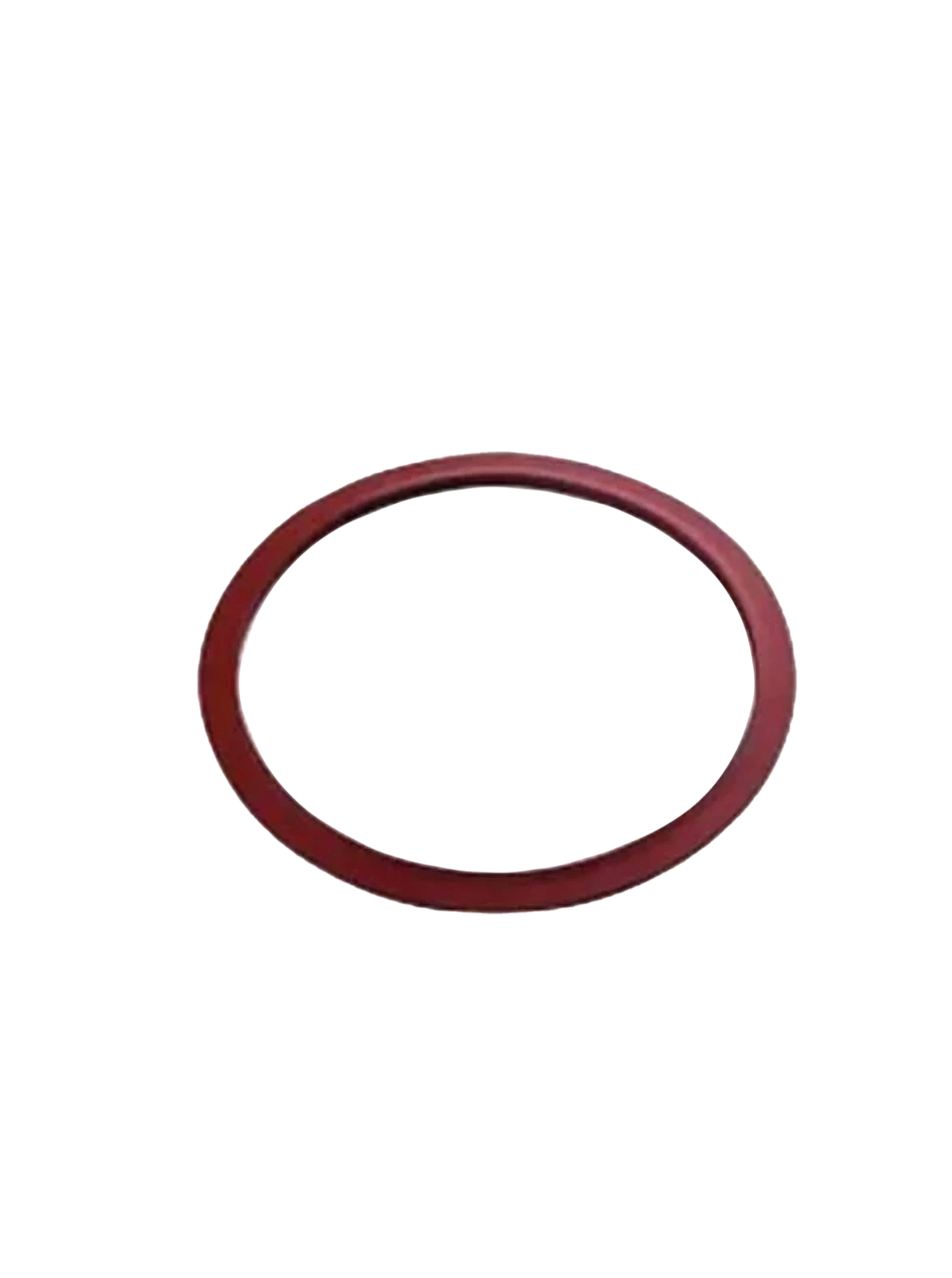 RPI PCG014 DOOR GASKET