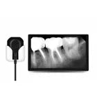MADS DrsRay Digital X-Ray Sensors Available in Sizes 1.0, 1.5 & 2.0