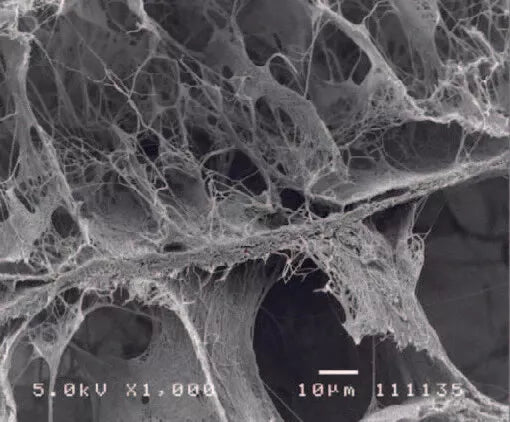 Unicare Curagen Collagen Wound Dressing