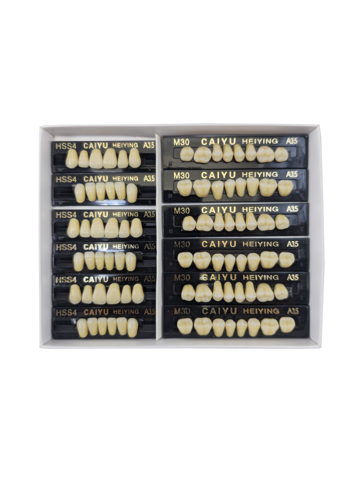Caiyu Hei Ying Synthetic Resin Teeth 22 (HSS4) A3.5