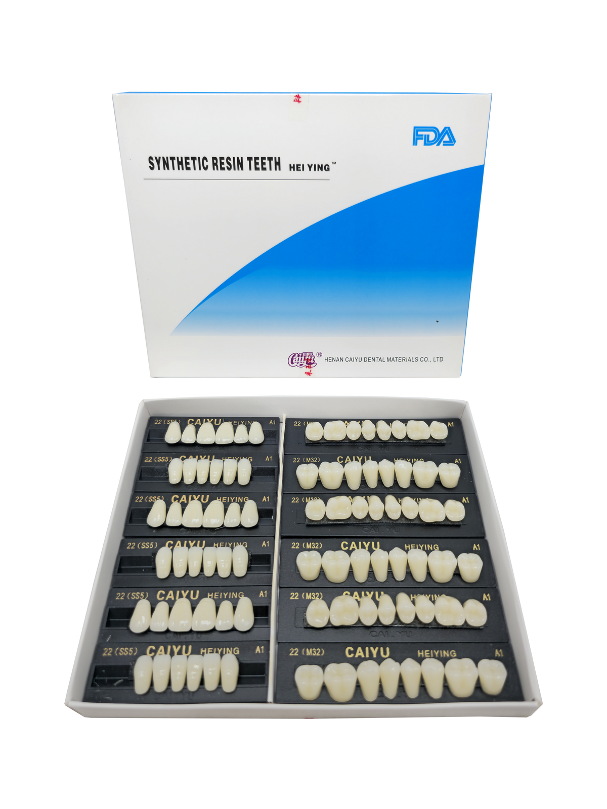 Caiyu Hei Ying Synthetic Resin Teeth 22 (HSS5) A1