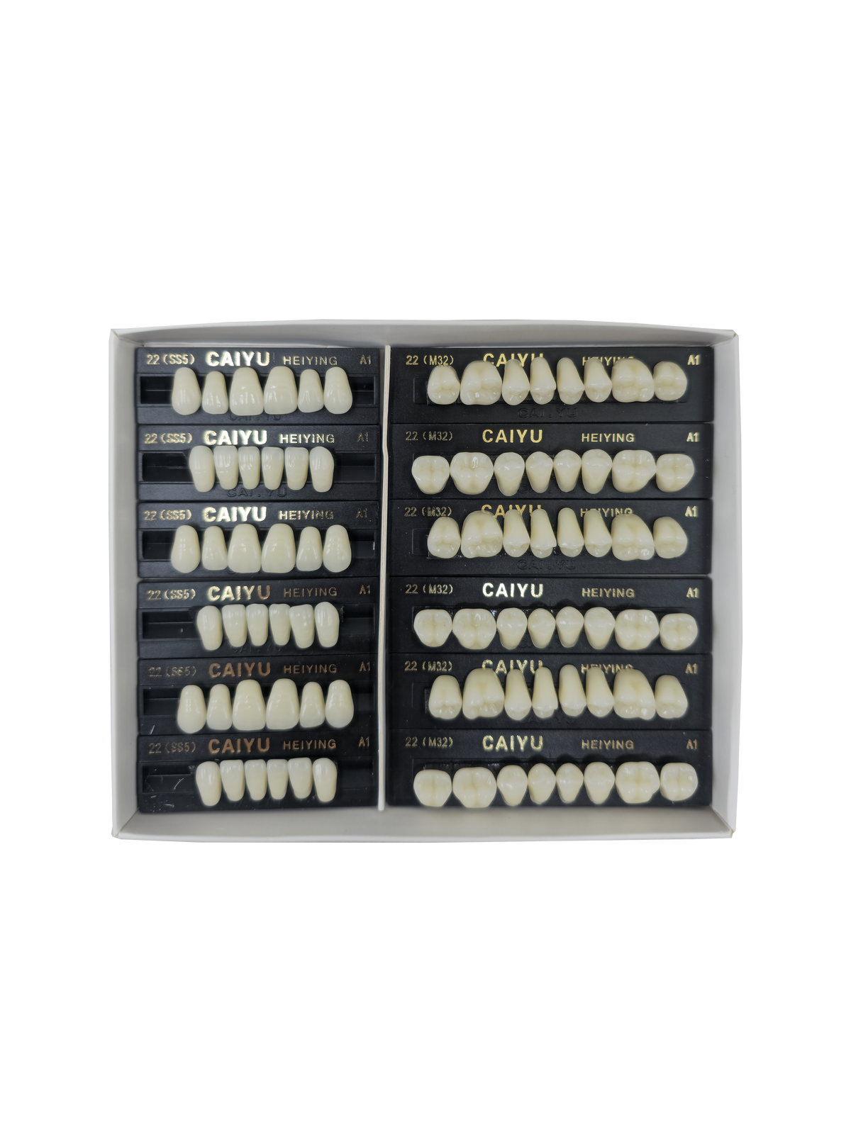 Caiyu Hei Ying Synthetic Resin Teeth 22 (HSS5) A1