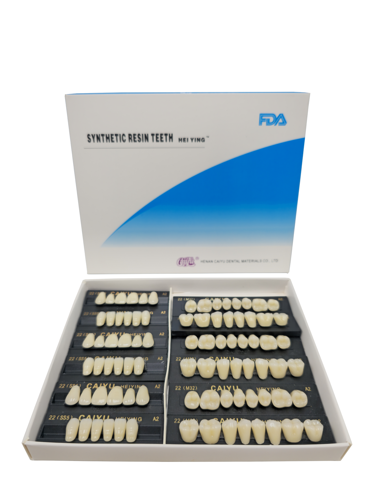 Caiyu Hei Ying Synthetic Resin Teeth 22 (HSS5) A2