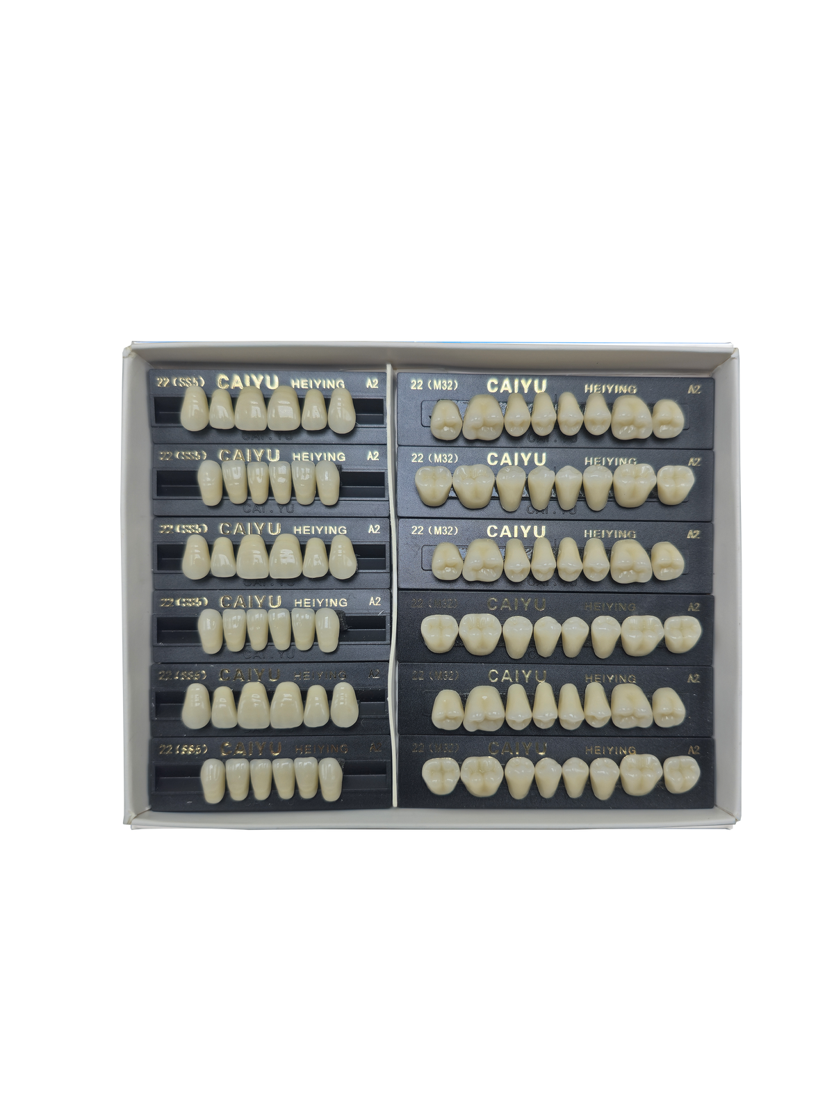 Caiyu Hei Ying Synthetic Resin Teeth 22 (HSS5) A2