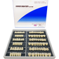 Caiyu Hei Ying Synthetic Resin Teeth 22 (SS5) A3