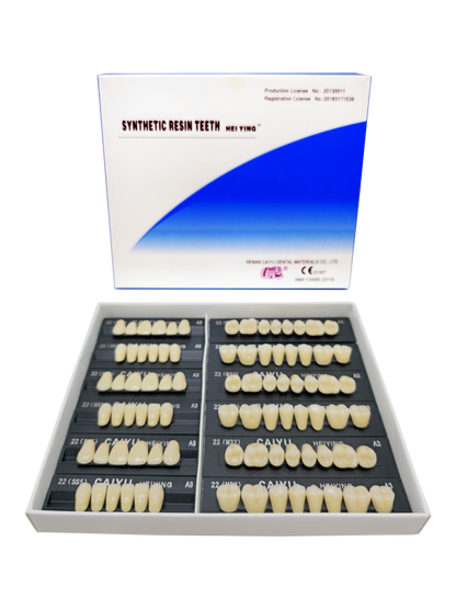 Caiyu Hei Ying Synthetic Resin Teeth 22 (SS5) A3