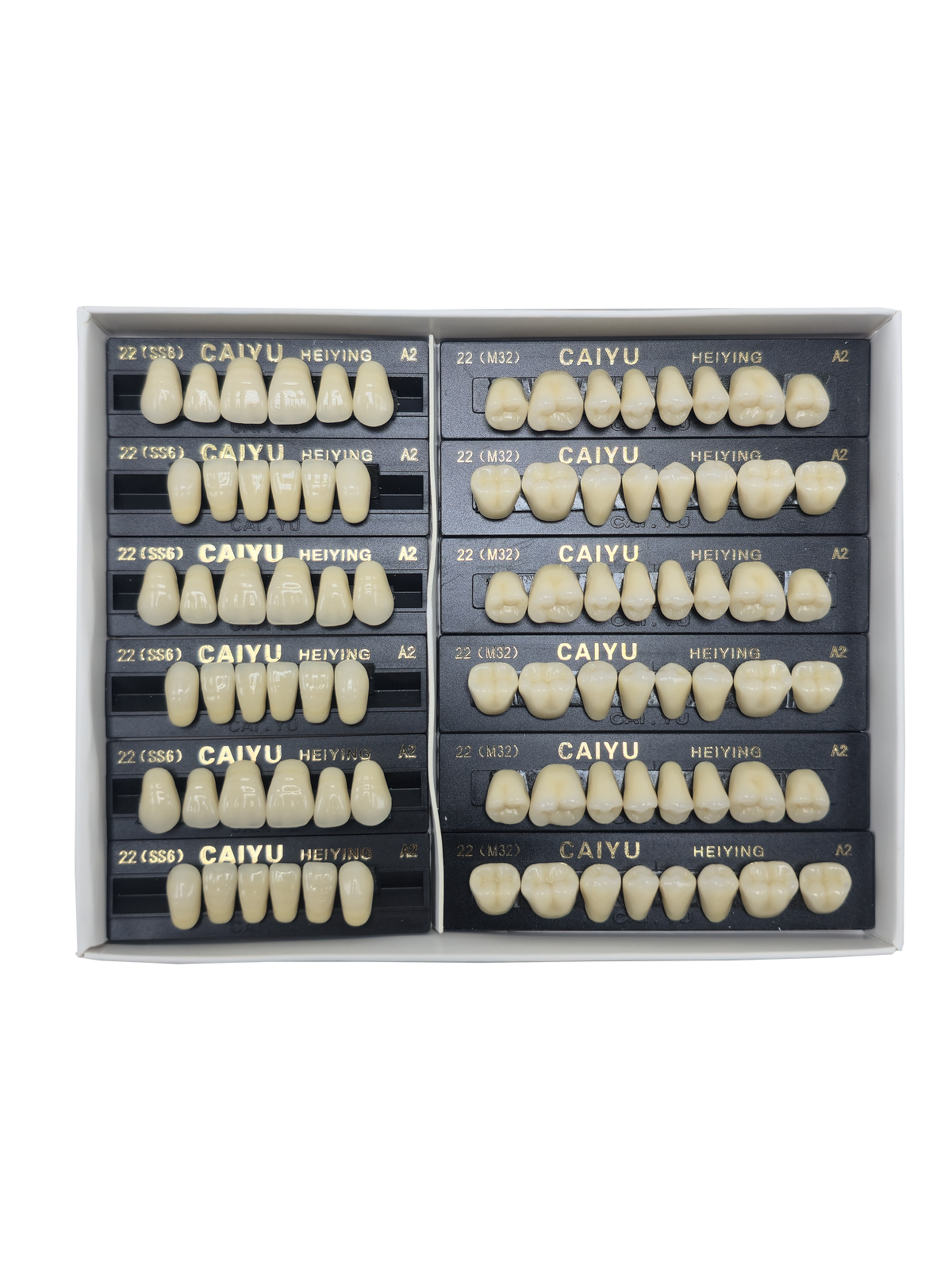 Caiyu Hei Ying Synthetic Resin Teeth 22 (SS6) A2