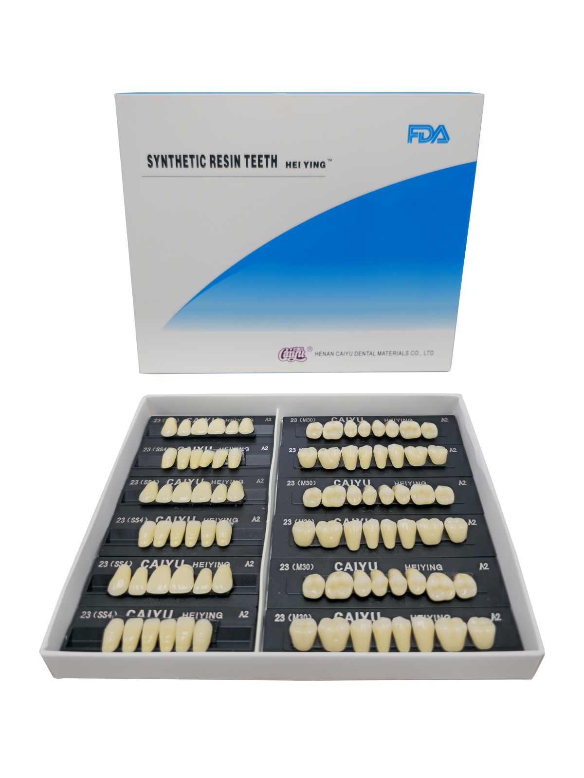 Caiyu Hei Ying Synthetic Resin Teeth 23 (SS4) A2