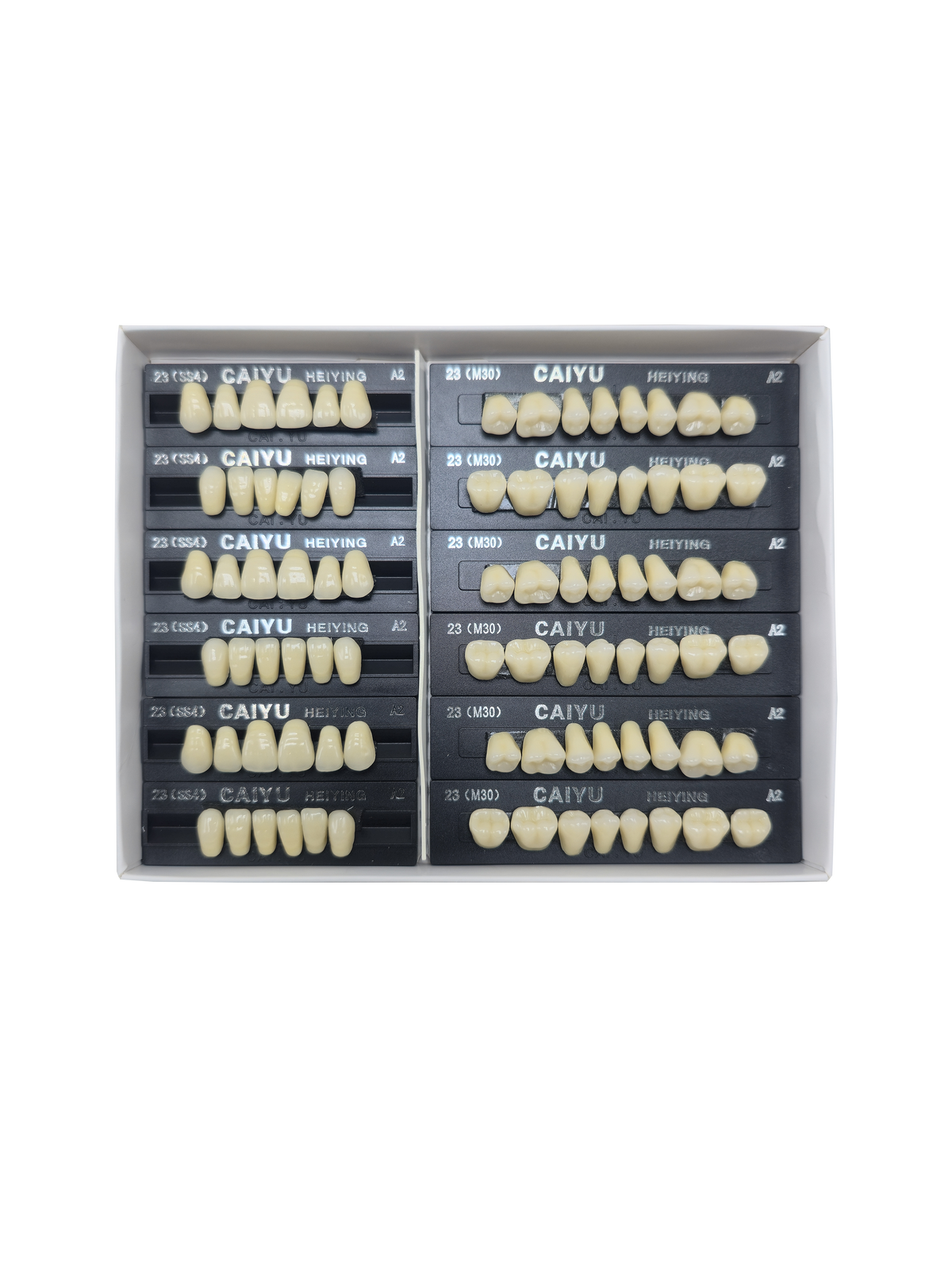 Caiyu Hei Ying Synthetic Resin Teeth 23 (SS4) A2