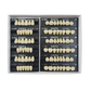 Caiyu Hei Ying Synthetic Resin Teeth 23 (SS4) A3