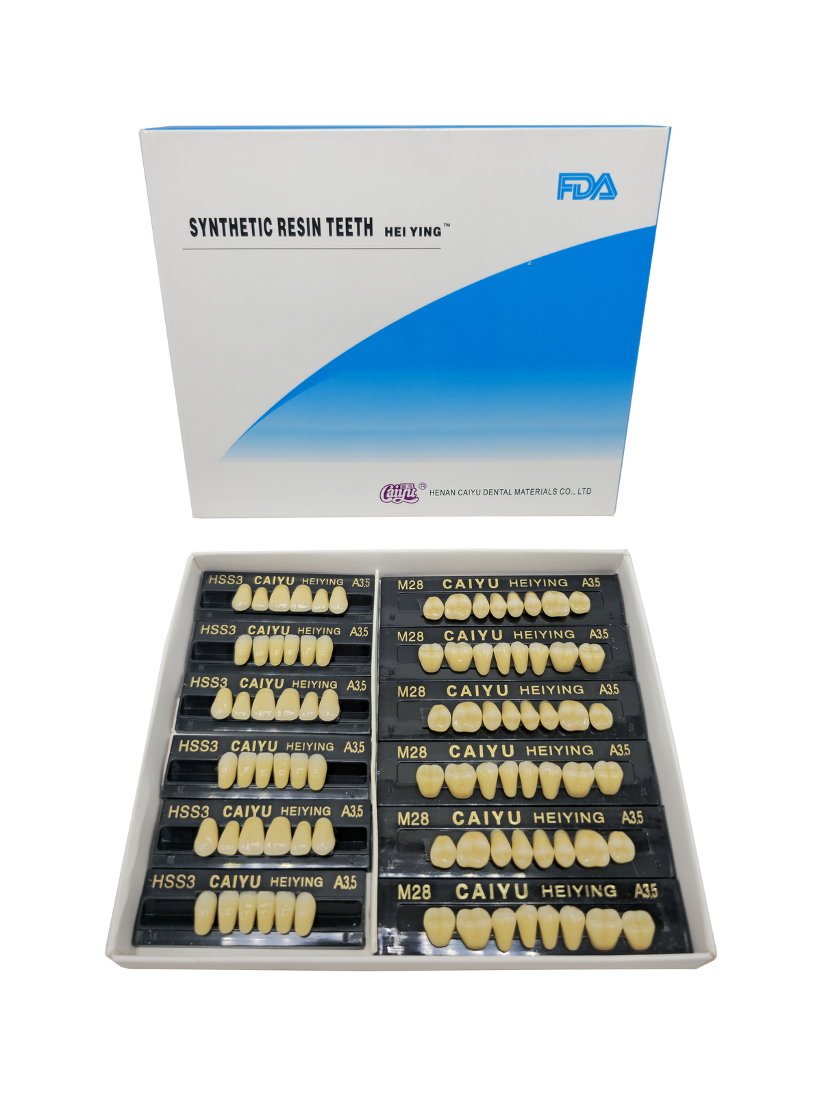 Caiyu Hei Ying Synthetic Resin Teeth 24 HSS3) A3.5