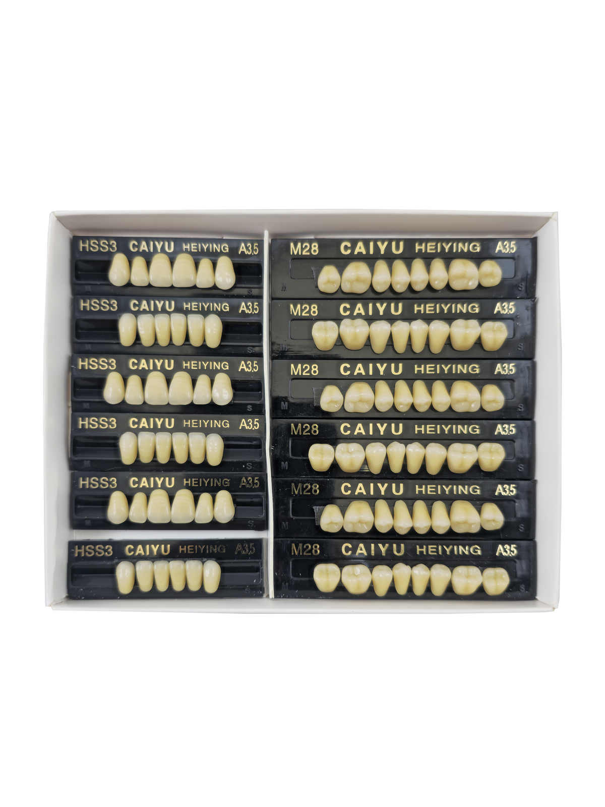 Caiyu Hei Ying Synthetic Resin Teeth 24 HSS3) A3.5