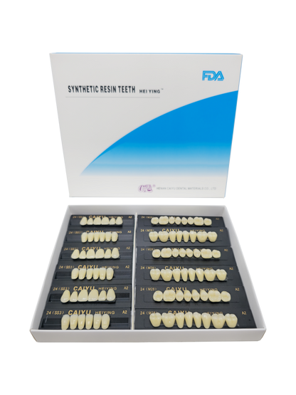Caiyu Hei Ying Synthetic Resin Teeth 24(HSS3)A2