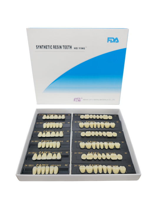 Caiyu Hei Ying Synthetic Resin Teeth 24(HSS3)A2