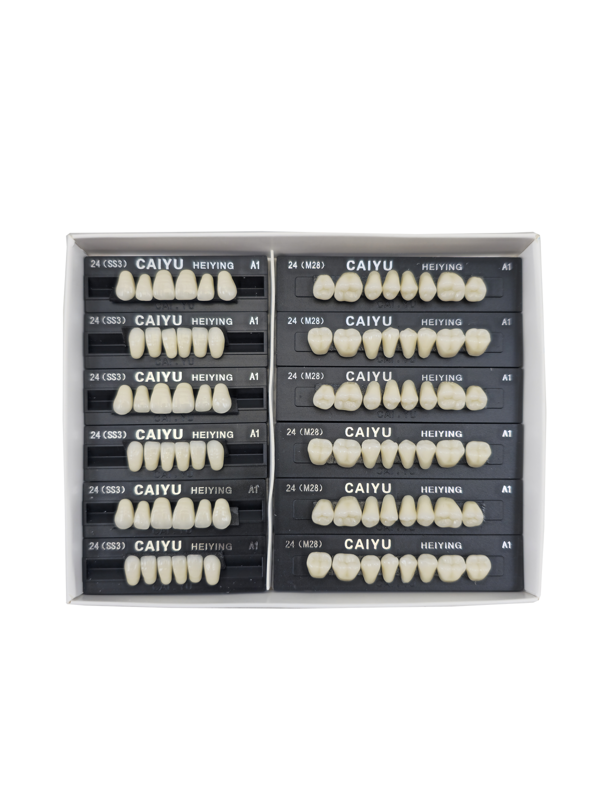 Caiyu Hei Ying Synthetic Resin Teeth 24 (SS3) A1
