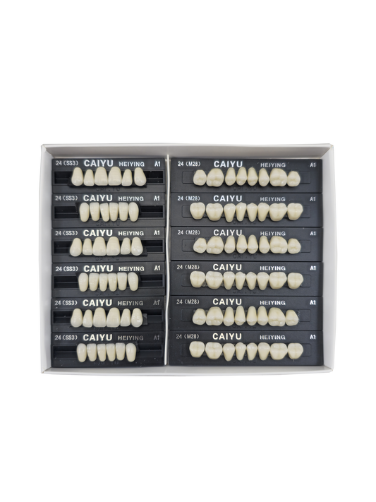 Caiyu Hei Ying Synthetic Resin Teeth 24 (SS3) A1