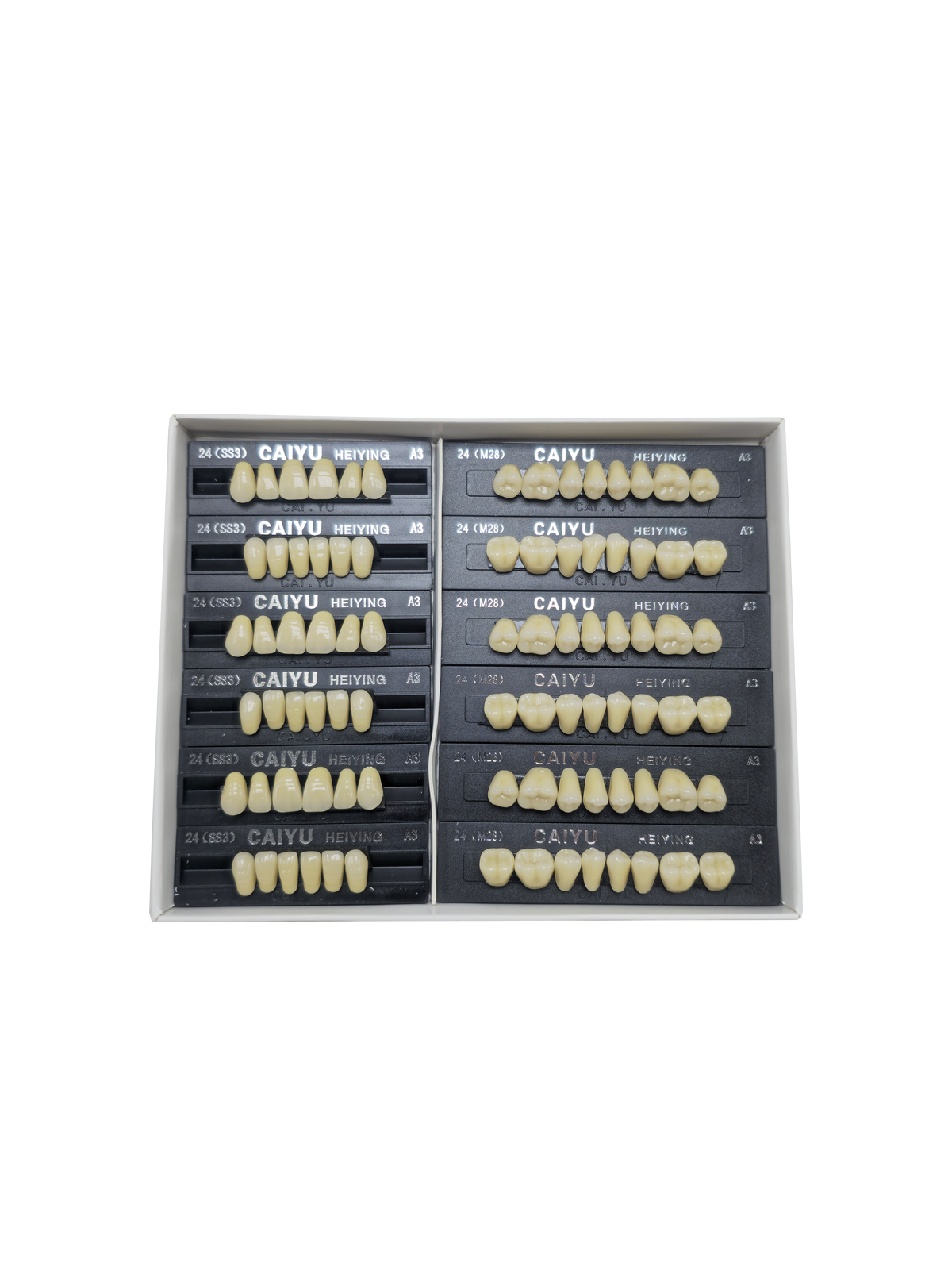 Caiyu Hei Ying Synthetic Resin Teeth 24 (SS3) A3
