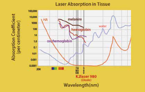 POLAROID DENTAL K2 MOBILE – WIRELESS  SOFT TISSUE DIODE LASER