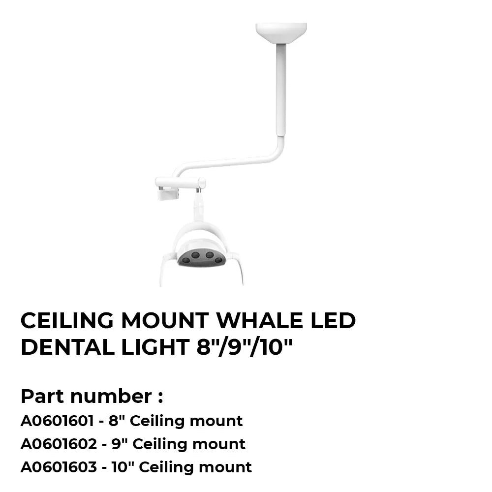 Ceiling-mount-Whale-LED