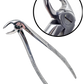 King99 Extraction Forceps Set (10 Pc)