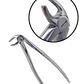 King99 Extraction Forceps Set (10 Pc)