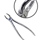 King99 Extraction Forceps Set (10 Pc)