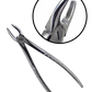 King99 Extraction Forceps Set (10 Pc)