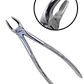 King99 Extraction Forceps Set (10 Pc)