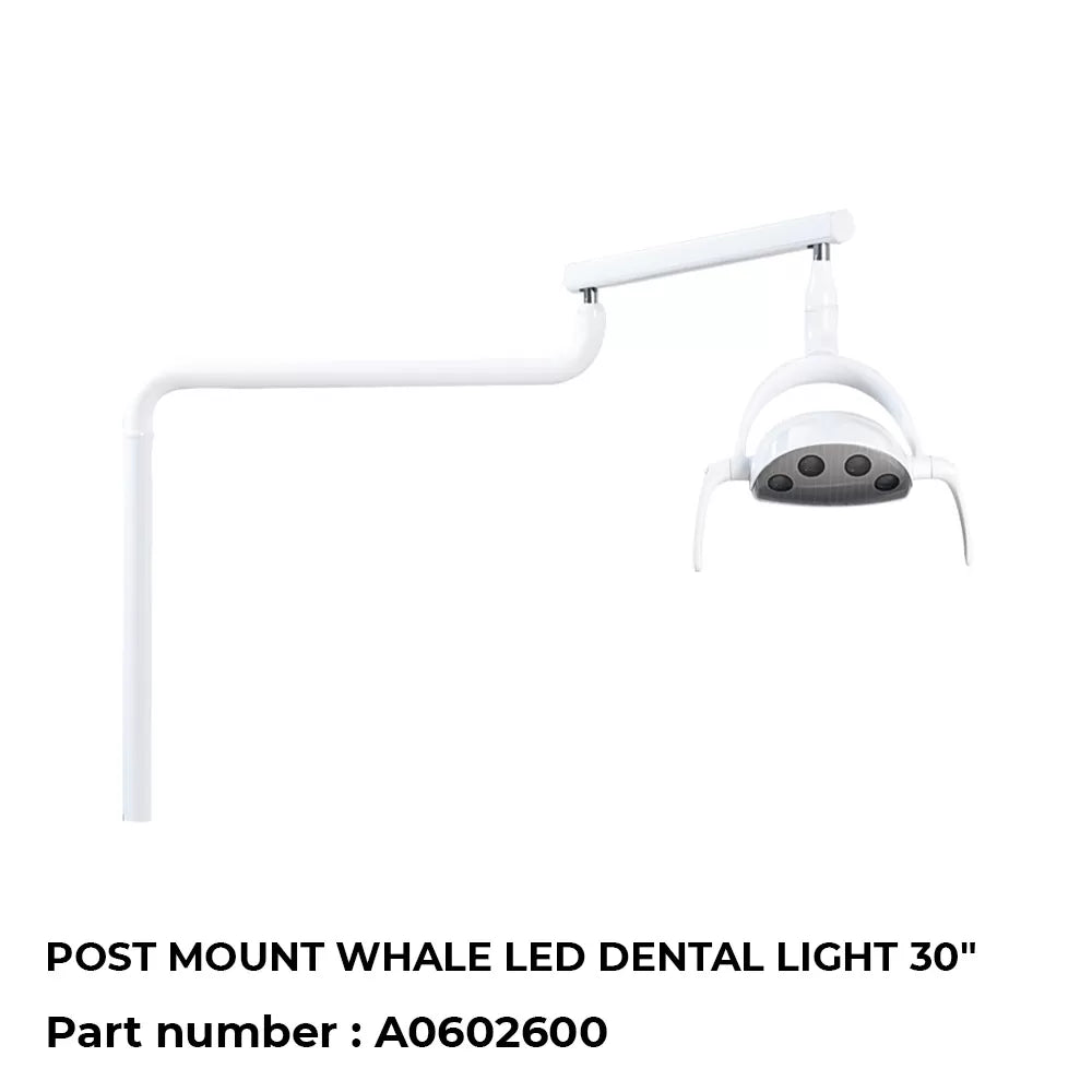 Post-mount-Whale-LED-Dental-Light-30