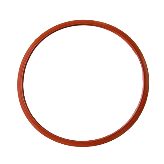 RPI MIG028 DOOR GASKET