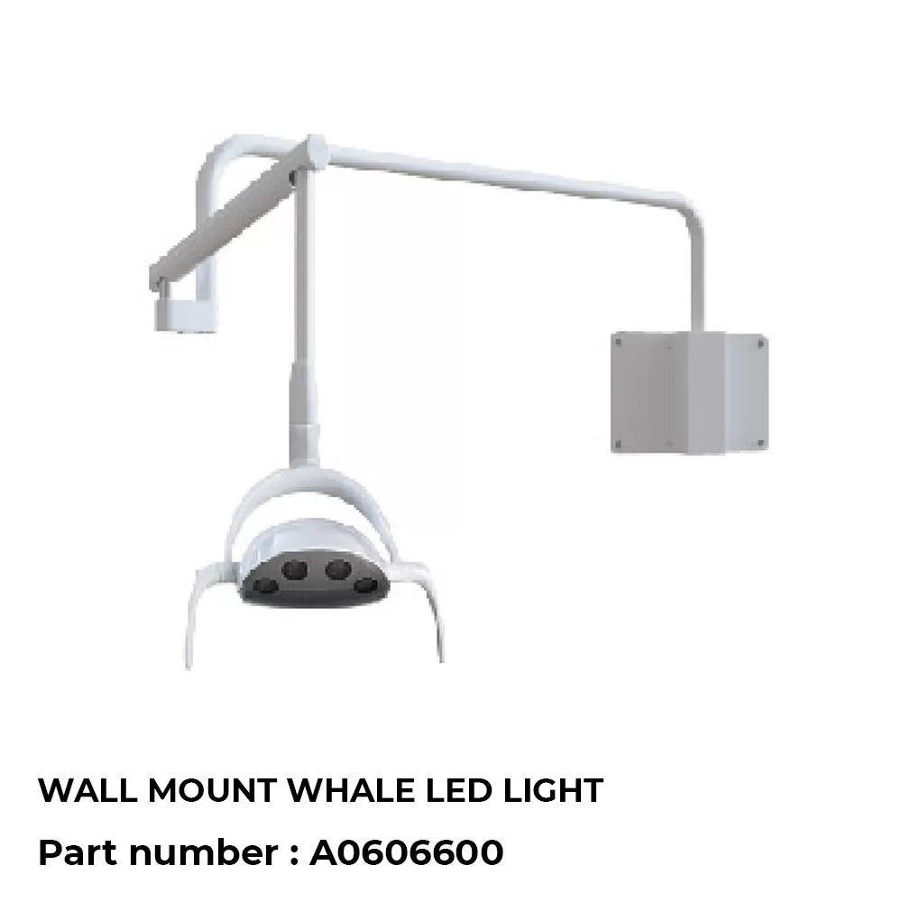 Wall-mount-Whale-LED-Light