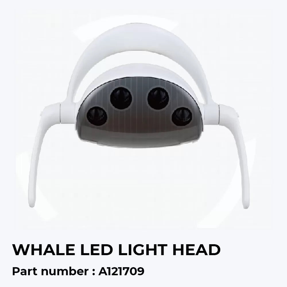 Whale-LED-Light-Head