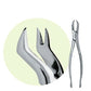 PREMIER Dental #88R Maxillary Extracting Forceps Stainless Steel USA