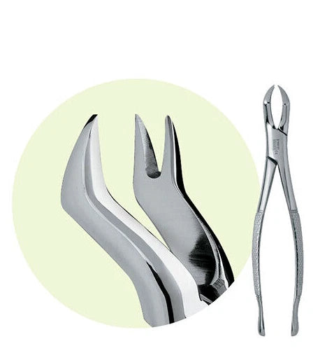 PREMIER Dental #88R Maxillary Extracting Forceps Stainless Steel USA