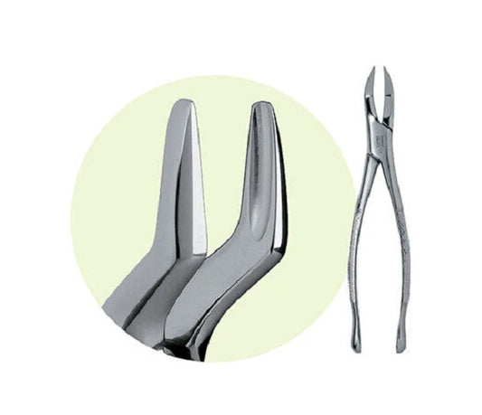 PREMIER Dental #65 Mandibular Forceps Stainless Steel USA