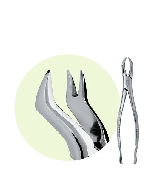 PREMIER Dental #88R Maxillary Extracting Forceps Stainless Steel USA