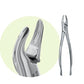 PREMIER Dental #150 Maxillary Extracting Forceps Stainless Steel USA