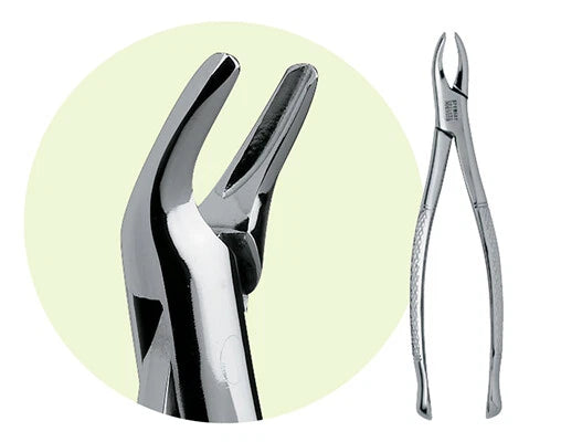PREMIER Dental #101 Maxillary Extracting Forceps Stainless Steel USA