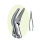 PREMIER Dental #69 Root Forceps Stainless Steel USA