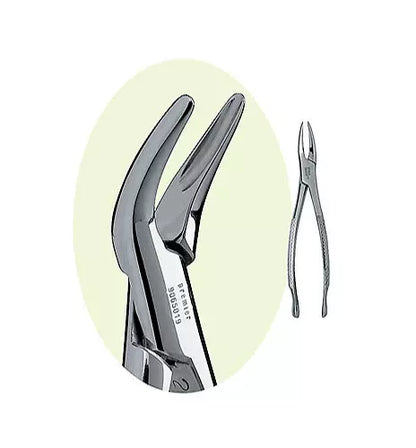 PREMIER Dental #69 Root Forceps Stainless Steel USA