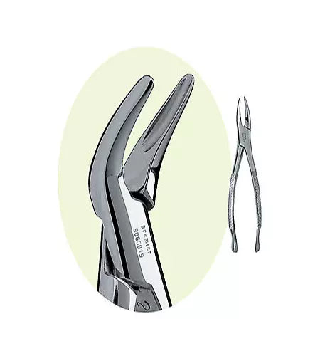 PREMIER Dental #69 Root Forceps Stainless Steel USA