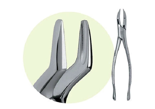 PREMIER Dental #65 Mandibular Forceps Stainless Steel USA