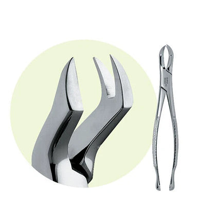 PREMIER Dental #88L Maxillary Extracting Forceps Stainless Steel USA