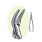 PREMIER Dental #69 Root Forceps Stainless Steel USA