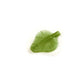 Dental ReLeaf HVE Hands free suction System Disposable Leaves Refill (Pack Of 100)