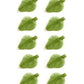 Dental ReLeaf HVE Hands free suction System Disposable Leaves Refill (Pack Of 100)