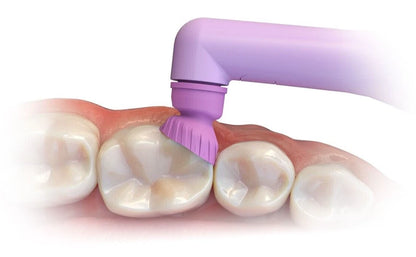 Premier ProFlare® Articulating Disposable Prophy Angle 125/Pack