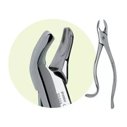 Premier Dental #18L Maxillary Stainless Steel 1st & 2nd Molar Forceps USA