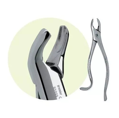 Premier Dental #18L Maxillary Stainless Steel 1st & 2nd Molar Forceps USA